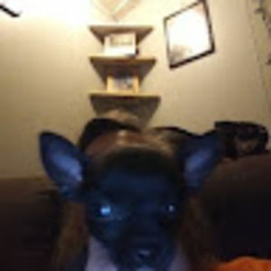 Meet your Posher, Suzanne